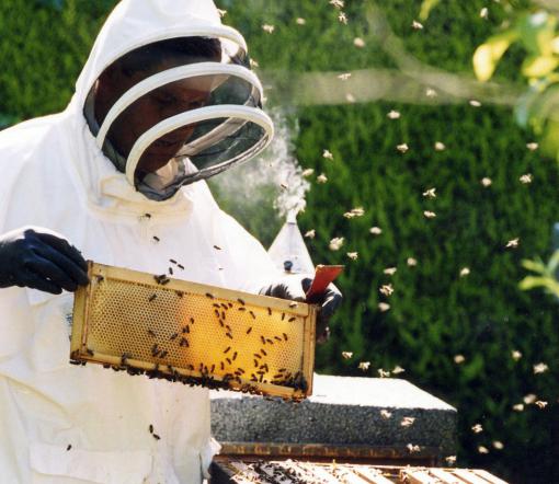Oprema za pčelarstvo