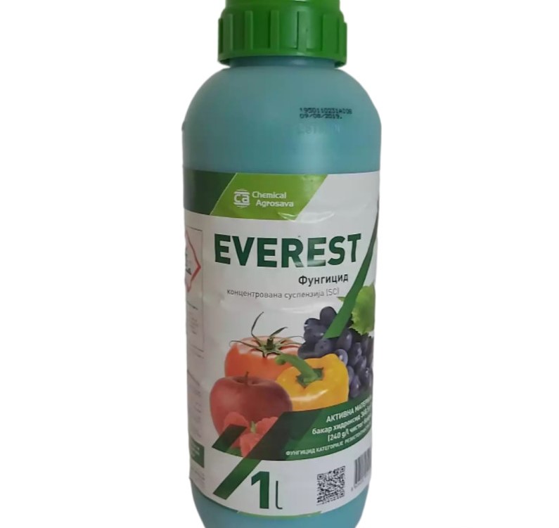 Fungicid Everest 1L