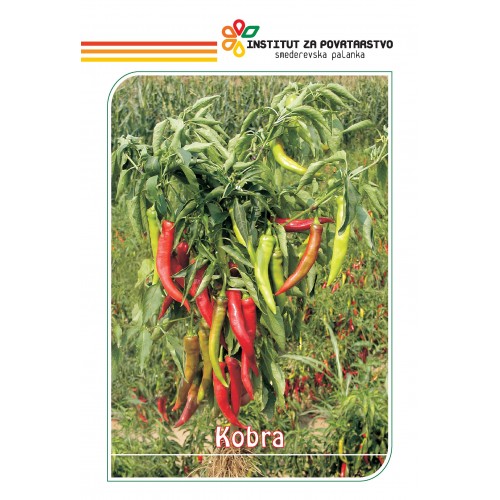 PAPRIKA KOBRA 5GR – SMEDERVSKA PALANKA