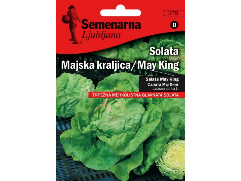 SEMENARNA SALATA MAJSKA KRALJICA 20 GR