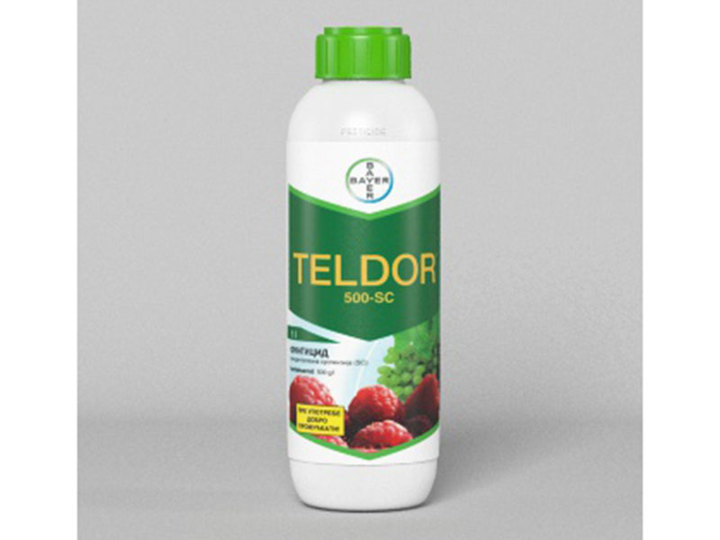 FUNGICID TELDOR BAYER 100 ML