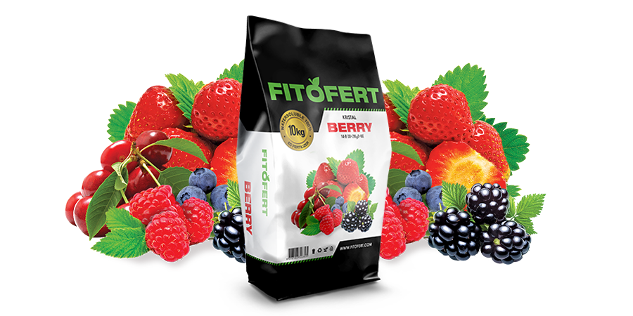 Kristalon Fitofert Berry 14-8-30+2MgO+ME 10kg