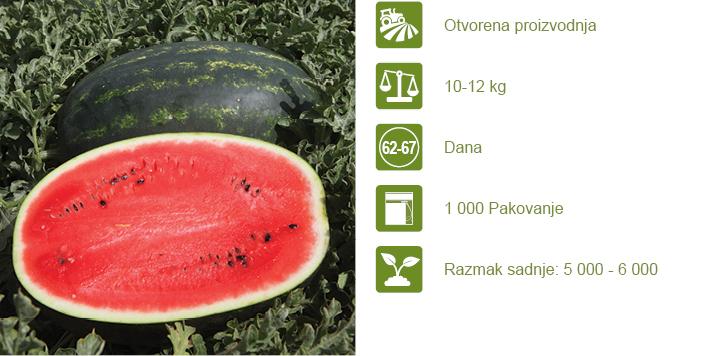 Lubenica Mirisni 1000 sjemenki Syngenta